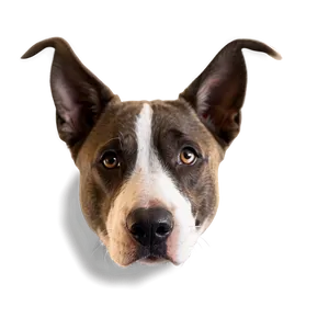 Dog Face With Ears Up PNG 96
