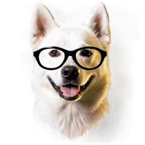 Dog Face With Glasses PNG 06212024