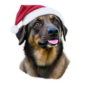 Dog Face With Santa Hat PNG Oix2 PNG