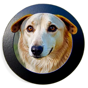 Dog Head In Circle PNG 89