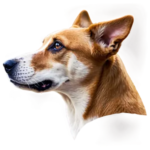 Dog Head In Profile PNG Yvj44 PNG