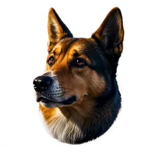Dog Head Mascot PNG 06212024