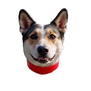 Dog Head Mascot PNG 65