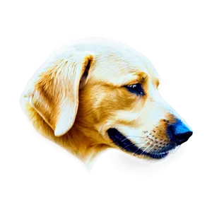 Dog Head Profile Png 06212024 PNG image