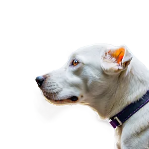 Dog Head Side View PNG 79 PNG