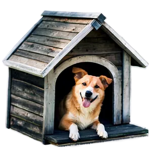 Dog House C