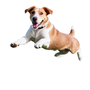Dog Jumping Transparent PNG 81