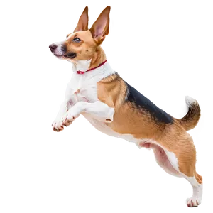 Dog Jumping Transparent PNG Iek33 PNG