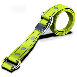 Dog Leash B PNG image