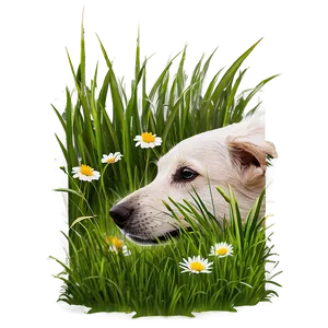 Dog Nose In Grass PNG Vpp47