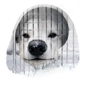 Dog Nose In Snow PNG Qti