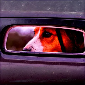 Dog Nose On Window PNG Jpk83 PNG