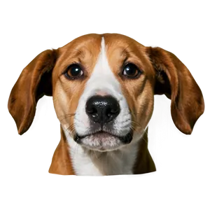 Dog Nose Transparent PNG Yfs35 PNG