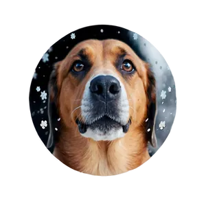 Dog Nose With Snowflakes PNG 06272024