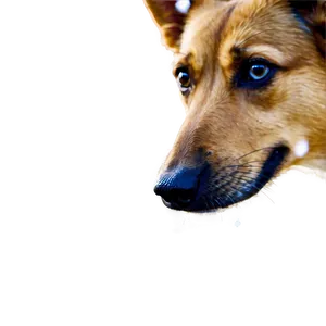 Dog Nose With Snowflakes PNG 38