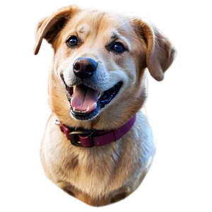 Dog Portrait PNG Fdb