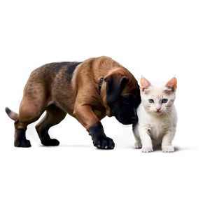 Dog Protecting Cat Png Ooy38 PNG image