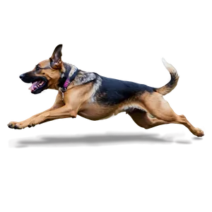 Dog Running Action Png 06132024 PNG image