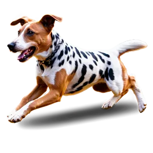 Dog Running B PNG image