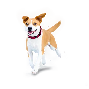 Dog Running In Winter PNG 06132024 PNG