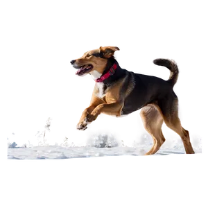 Dog Running In Winter PNG Gyi89 PNG