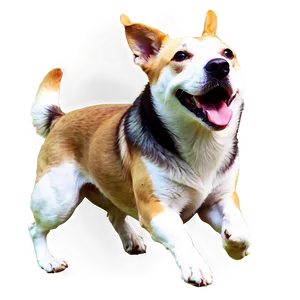Dog Running Through Leaves PNG 06132024 PNG