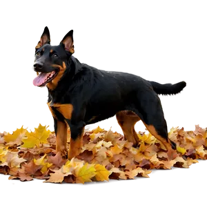 Dog Running Through Leaves PNG 4 PNG