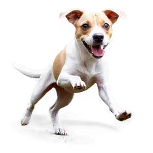 Dog Running Through Leaves PNG 63 PNG