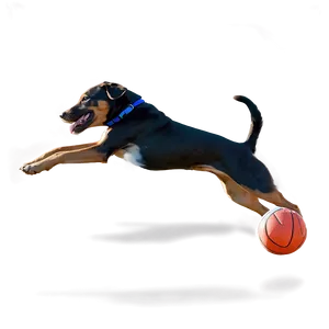 Dog Running With Ball Png Xje PNG image