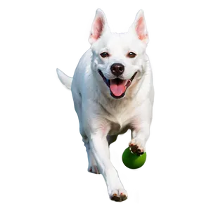 Dog Running With Toy PNG Lhb73 PNG