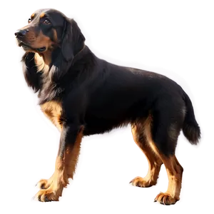 Dog Silhouette Transparent Png 9 PNG image