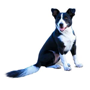 Dog Tail Transparent PNG 05262024 PNG