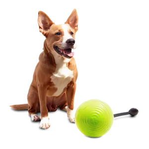 Dog Toy For Anxiety PNG 06132024
