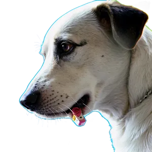 Dog Toy For Anxiety PNG 71