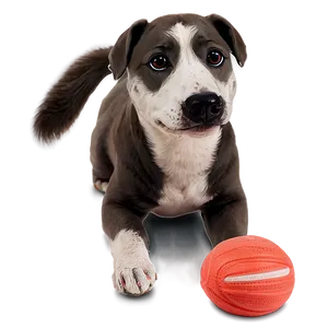 Dog Toy For Boredom PNG 06132024