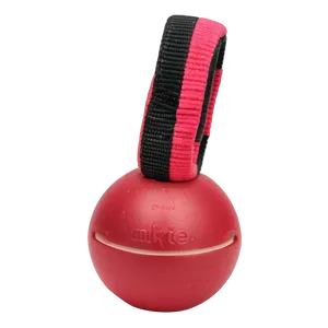 Dog Toy For Fetching PNG Nhj