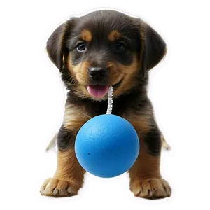 Dog Toy For Puppies PNG Fxn