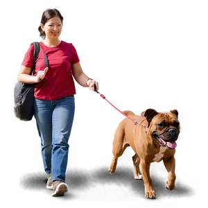 Dog Walking A