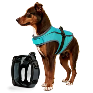 Dog Walking Gear Png Yfb29 PNG image