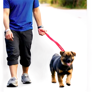 Dog Walking Route Map Png Phx45 PNG image