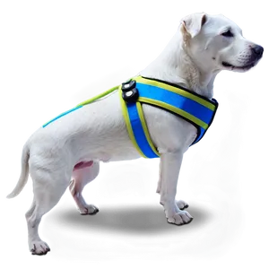 Dog Walking Safety Gear Png 58 PNG image