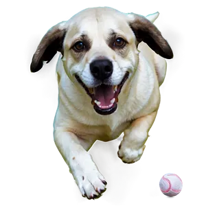 Dog With Ball Transparent PNG 94