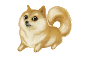 Doge Meme Illustration PNG image