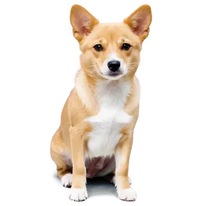 Dogs And Cats PNG 05242024