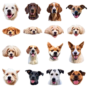 Dogs At The Beach PNG 84 PNG