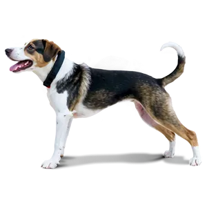 Dogs In Action PNG Ntx44