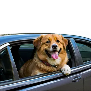 Dogs In Cars PNG Kep PNG