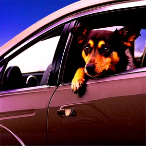 Dogs In Cars PNG Wsi PNG