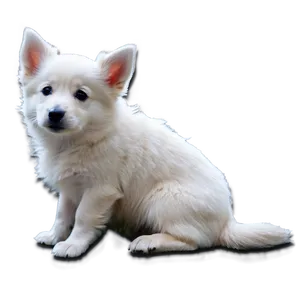 Dogs In Snow PNG Hae97
