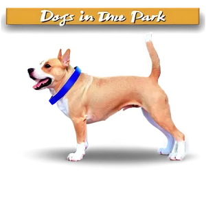 Dogs In The Park PNG Saf PNG